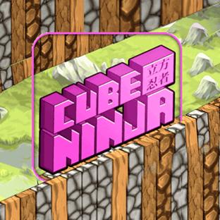 Cube Ninja Game
